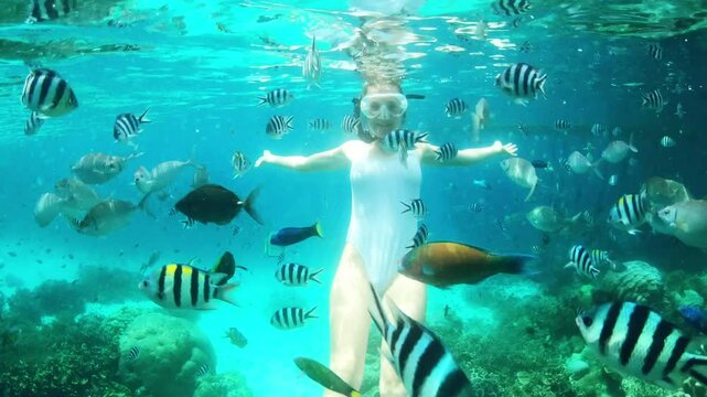 Woman, snorkeling and fish swimming in coral reef for island explore adventure, underwater mask in Raja Ampat. Female person, aqua wildlife and sea bed for plant environment, travel or rock diving