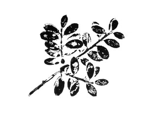 Black and white leaf print stamp of botanical illustration. Plain leaf sketched art on plain white background.