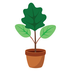 Houseplant in classic pot nature icon