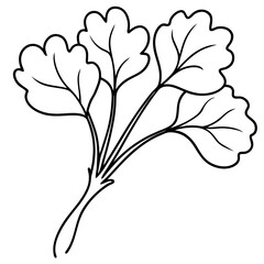 watercress vegetable outline coloring book page line art illustration digital drawing