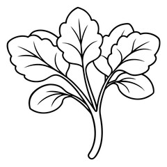 watercress vegetable outline coloring book page line art illustration digital drawing