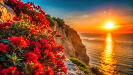 Close up of vibrant red flowers blooming on a cliff, illuminated by the warm glow of sunset , Red, flowers, cliff, sunset