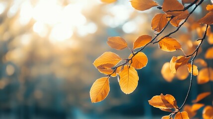 Golden Autumn Leaves on a Branch Against a Blurred Background