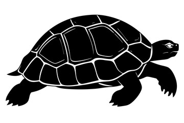 tortoise icon vector, tortoise illustration,tortoise silhouette