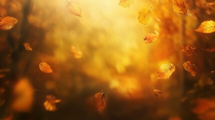 Fototapeta premium Golden Autumn Leaves Falling Through Sunlight