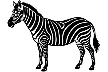 zebra animal, zebra illustration white background