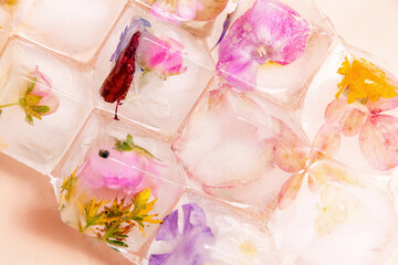 Top view of colorful flowers frozen in ice cubes flat lay. Stunning and unique composition for wedding and festive backgrounds