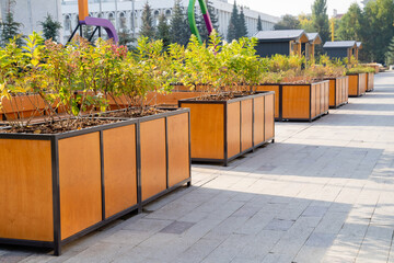 The bustling sidewalk is adorned with beautiful wooden planters overflowing with vibrant plants and...