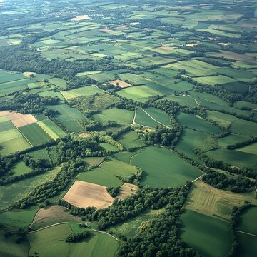 ariel view from airplane to green fields and trees, Germany