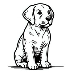 Fototapeta premium Smiling Alaskan Malamute Illustration