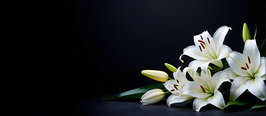 A banner with a dark background and white lily flowers. mourning is depicted through the imagery. Remembering and mourning are emphasized. The photo has a close-up, side view with selective focus