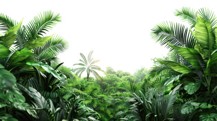Fototapeta premium Lush green tropical rainforest landscape on transparent background