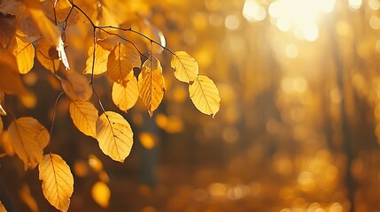 Golden Leaves on a Branch with Blurred Background