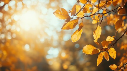 Obraz premium Golden Leaves Against a Soft Bokeh Background