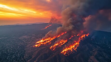 Fototapeta premium Great wildfire burning the a large forest, global crisis of climate change, protecting the world from global boiling crisis , Generative AI
