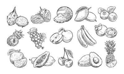 fruits handdrawn collection