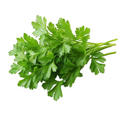 Fresh Green Parsley Sprigs