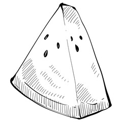 watermelon handdrawn illustration