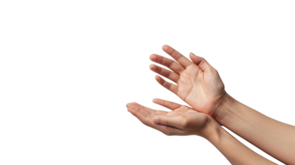 Hands holding something on transparent background