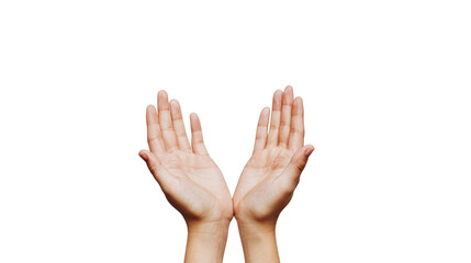 Hands holding something on transparent background