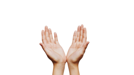 Hands holding something on transparent background