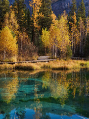 Geyser lake with turquoise water in Altai republic, Siberia, Russia. Famous tourist destination in Altai mountains. Autumn forest, beautiful landscape. Vertical