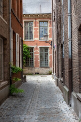 This image invites us into the calm solitude of the Mechelen Beguinage, with its historic cobbled streets and traditional brick houses. The beguinage, a quiet corner of Mechelen, Belgium, is a relic