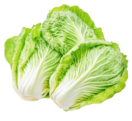 Fresh Green Napa Cabbage