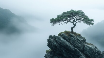 Solitary bonsai tree on rocky cliff with misty mountain backdrop, serene nature scene
