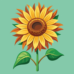 Sunflower vector illustration