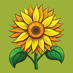 Sunflower vector illustration