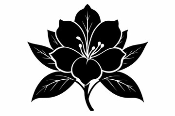 Azalea Vector Silhouette, Azalea flower silhouette clipart isolated on a white background