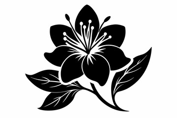 Azalea flower silhouette vector, Azalea silhouette, Azalea silhouette black clipart