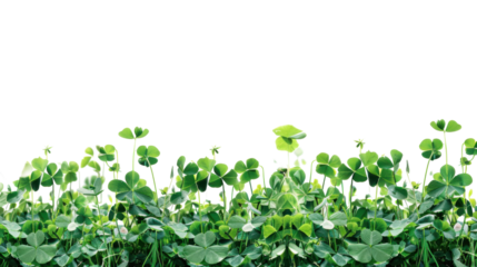 Green clover field on transparent background