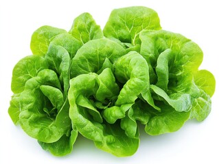 Obraz premium a fresh Lettuce isolated white background. Generative AI