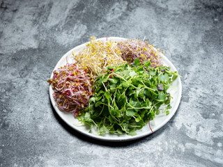 Variety of sprouts on a tray