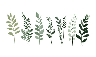 Obraz premium 2D illustrator doodle-style floral and leaf graphics on a white background or wallpaper
