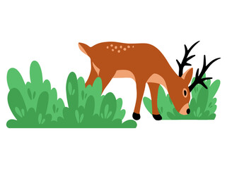 Deer Cartoon Animal Background Illustration