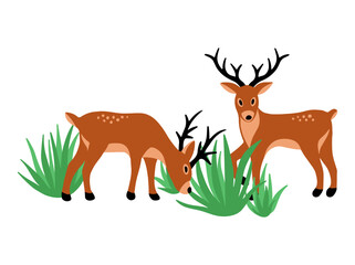 Deer Cartoon with Grass Illustration