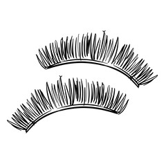 eyebrows handdrawn illustration