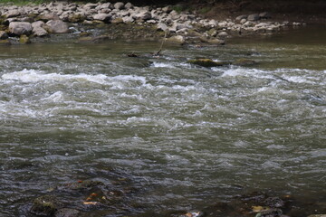 River rapids
