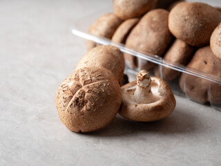 mushrooms on the table