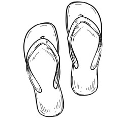 beach slippers handdrawn illustration