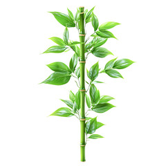 Fototapeta premium Plant in a vase and pot with tropical leaves and decorative flowers