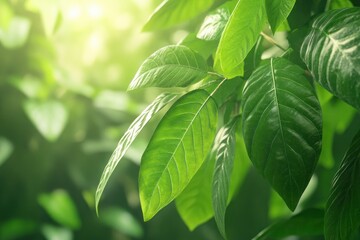 Peaceful Minimalism Finding Tranquility in Nature's Embrace, Organic Surroundings, Inner Peace, and Gratitude for Simplicity