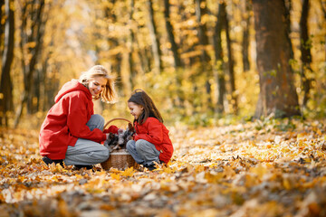 Mother and daughter playing in autumn forest with dogs