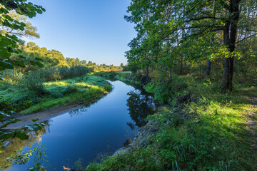 A river with a green forest on either side
