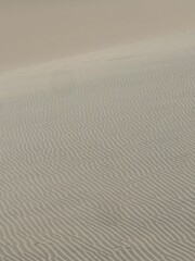 Obraz premium ripples in sand