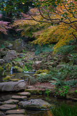 日本の風景・秋　東京都文京区　紅葉の六義園