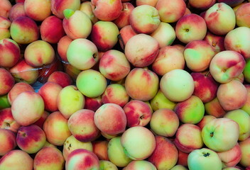 Peaches Close-Up Colorful Top View